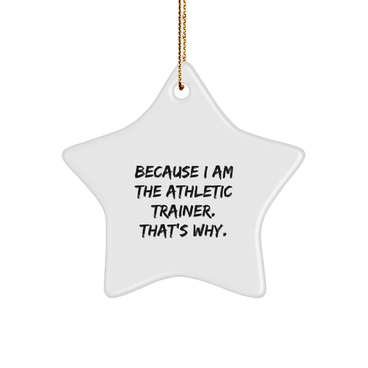 Funny Star Ornament Gifts from Family for Athletic Trainers - Inspirational Christmas Unique Decorations - Star Shaped MDF Wood with Gold Cord - Image 1