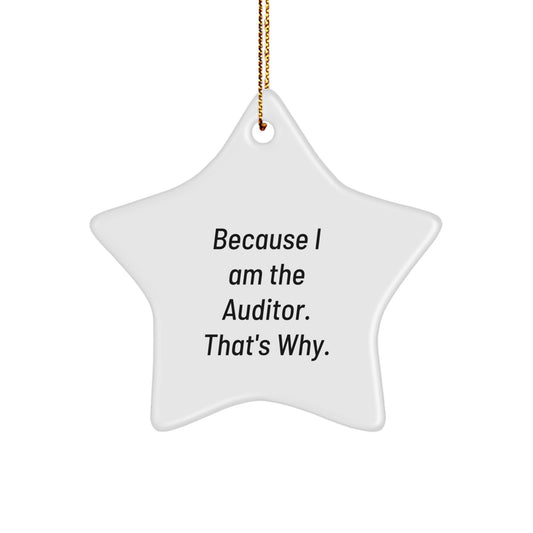 Auditor Star Ornament Christmas Holiday Gift for Coworkers Idea - Image 1