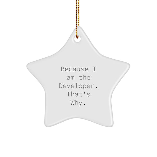Funny Developer Gifts from Friends - Because I Am The Developer. That's Why., Christmas Unique Star Ornament for Developer Friends, Gift for Men, Women, Family - Image 1