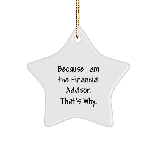 Bold Financial Advisor Essential Christmas Ornament for Neighbors Gift - Image 1