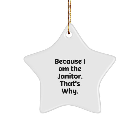 Witty Janitor Star Ornament Christmas Gift for Roommates Memento - Image 1
