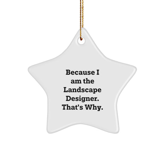 Funny Star Ornament for Landscape Designer Gifts from Friends, Unique Christmas Tree Decorations, Because I Am The Landscape Designer. That's Why. Star Shaped MDF Decor - Image 1