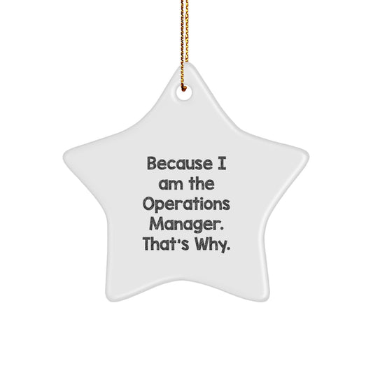 Christmas Gift for Her Operations Manager Star Ornament Present - Image 1