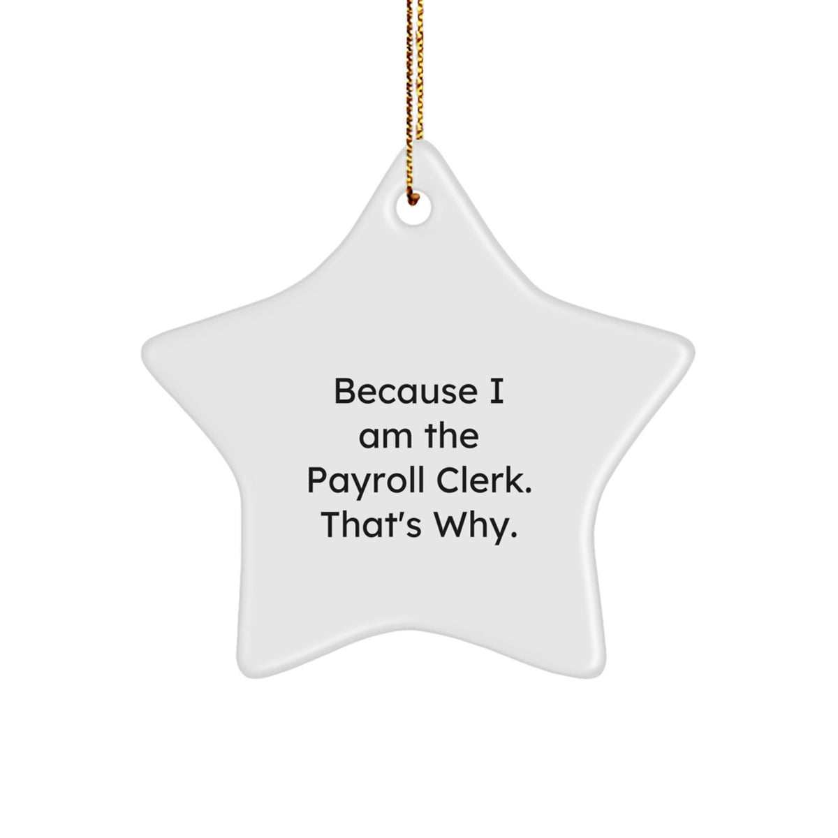 Christmas Gift for Her Payroll Clerk Star Ornament Unique Present - Image 1