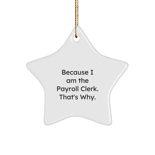 Christmas Gift for Her Payroll Clerk Star Ornament Unique Present - Image 1