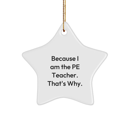 Christmas Gift for Teens PE Teacher Star Ornament Surprise Keepsake - Image 1
