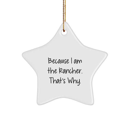 Bold Rancher Star Christmas Ornament for Friends Gift - Image 1