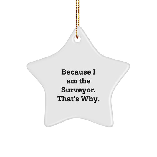 Christmas Gift for Her Surveyor Star Ornament Present Bright Keepsake - Image 1