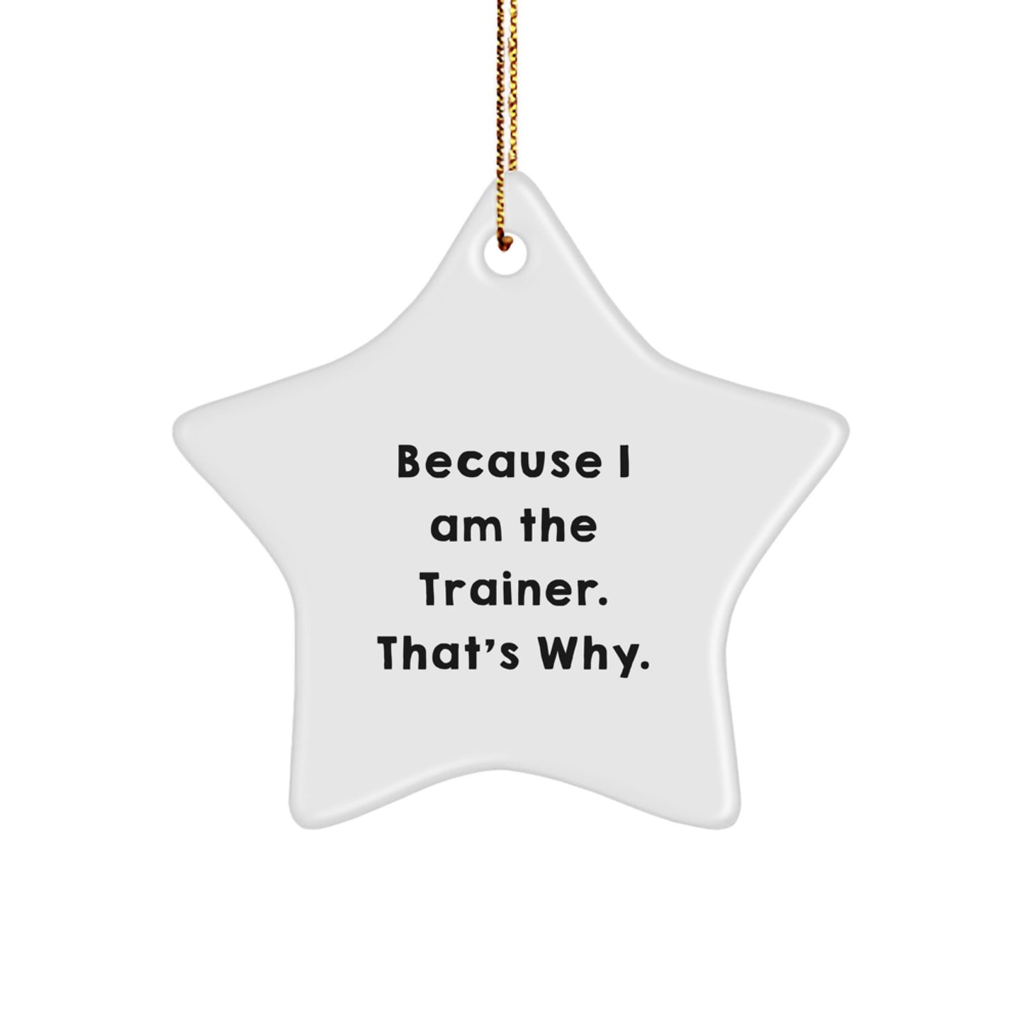 Trainer Keepsake Christmas Ornament for Him Gift - Image 1