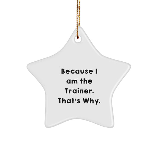 Trainer Keepsake Christmas Ornament for Him Gift - Image 1