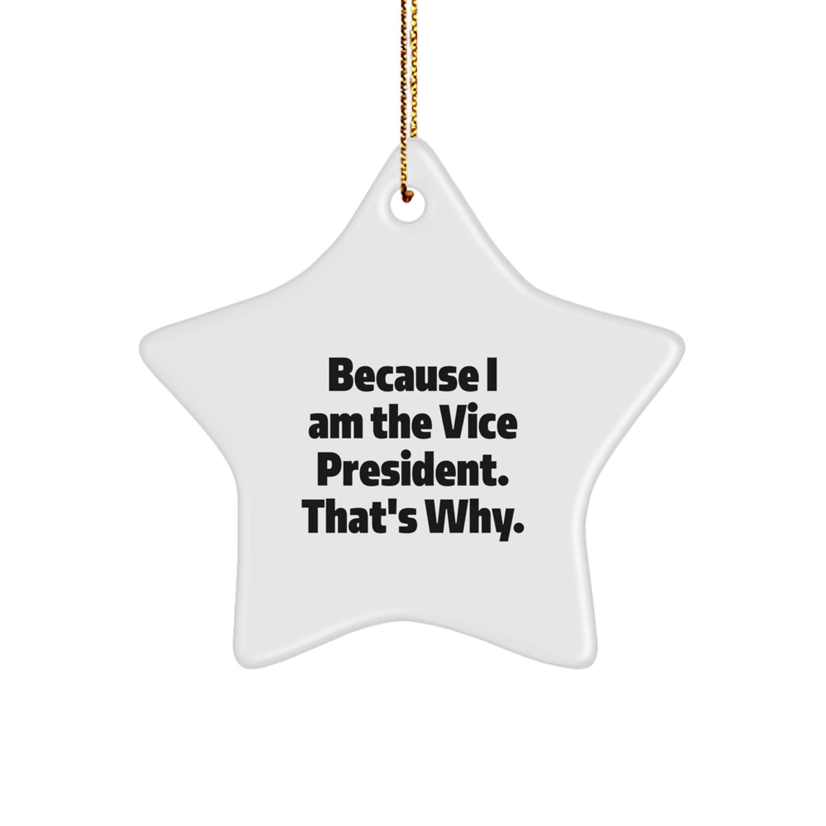 Vice President Star Ornament Idea Christmas Unique Gift for Coworkers - Image 1