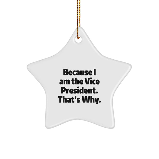 Vice President Star Ornament Idea Christmas Unique Gift for Coworkers - Image 1