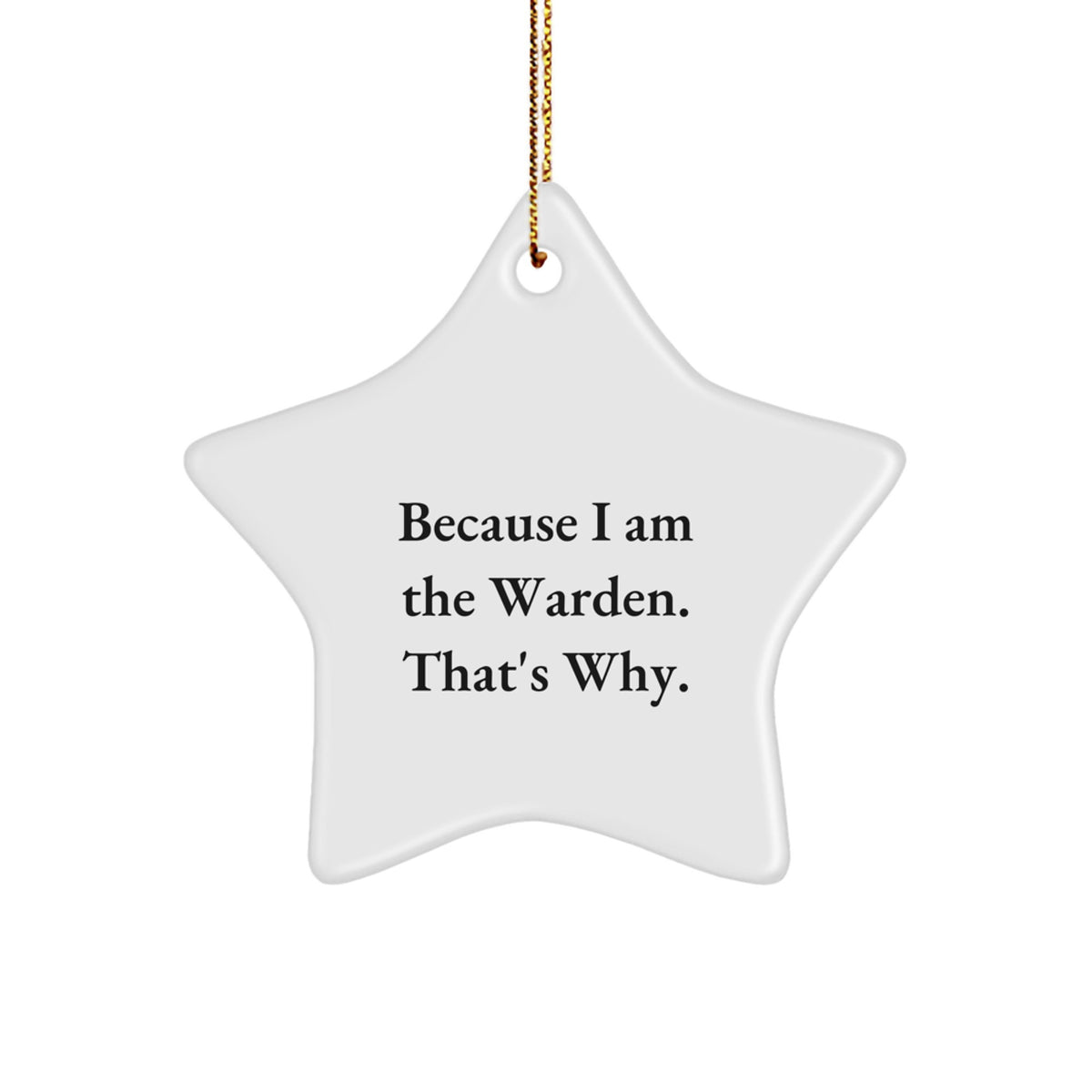 Warden Star Ornament Treasure for Family Christmas Gift - Image 1