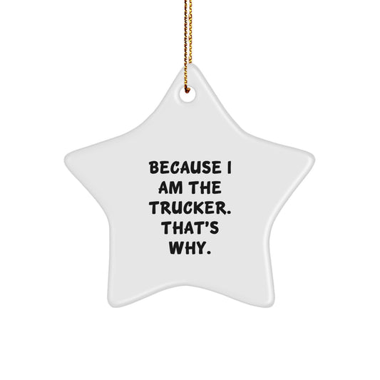 Trucker Star Ornament Gift for Christmas Funny Quote from Friend - Image 1