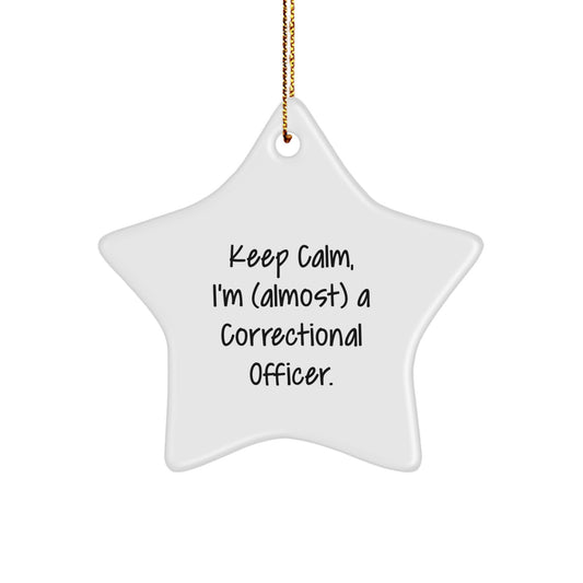 Collectible Correctional Officer Star Ornament for Neighbors Xmas Gift - Image 1