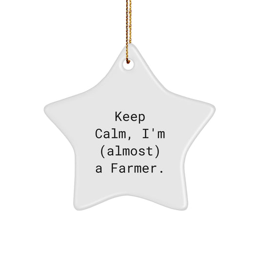 Farmer Christmas Ornament Gift - Keep Calm, I'm (Almost) A Farmer - Image 1