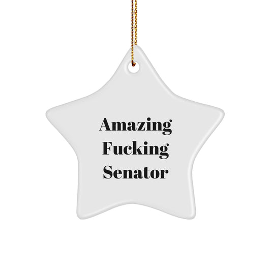 Collectible Senator Star Christmas Ornament Gift for Neighbors - Image 1
