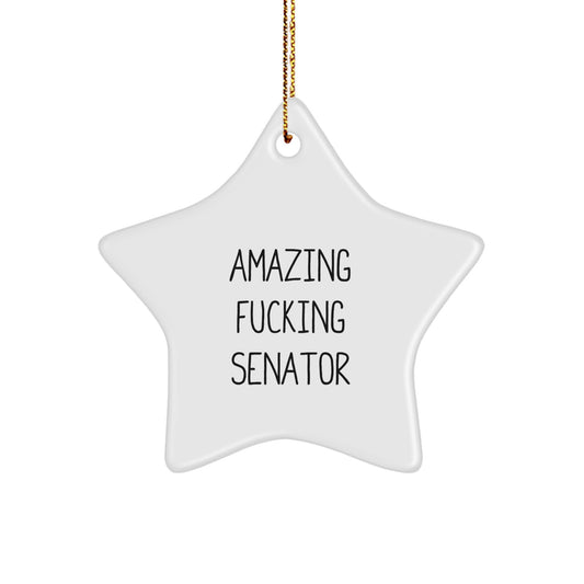 Bold Senator Star Ornament Novelty for Friends Christmas Gift - Image 1