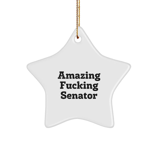 Senator Christmas Ornament for a Best Friend - Amazing Fucking Gift - Image 1