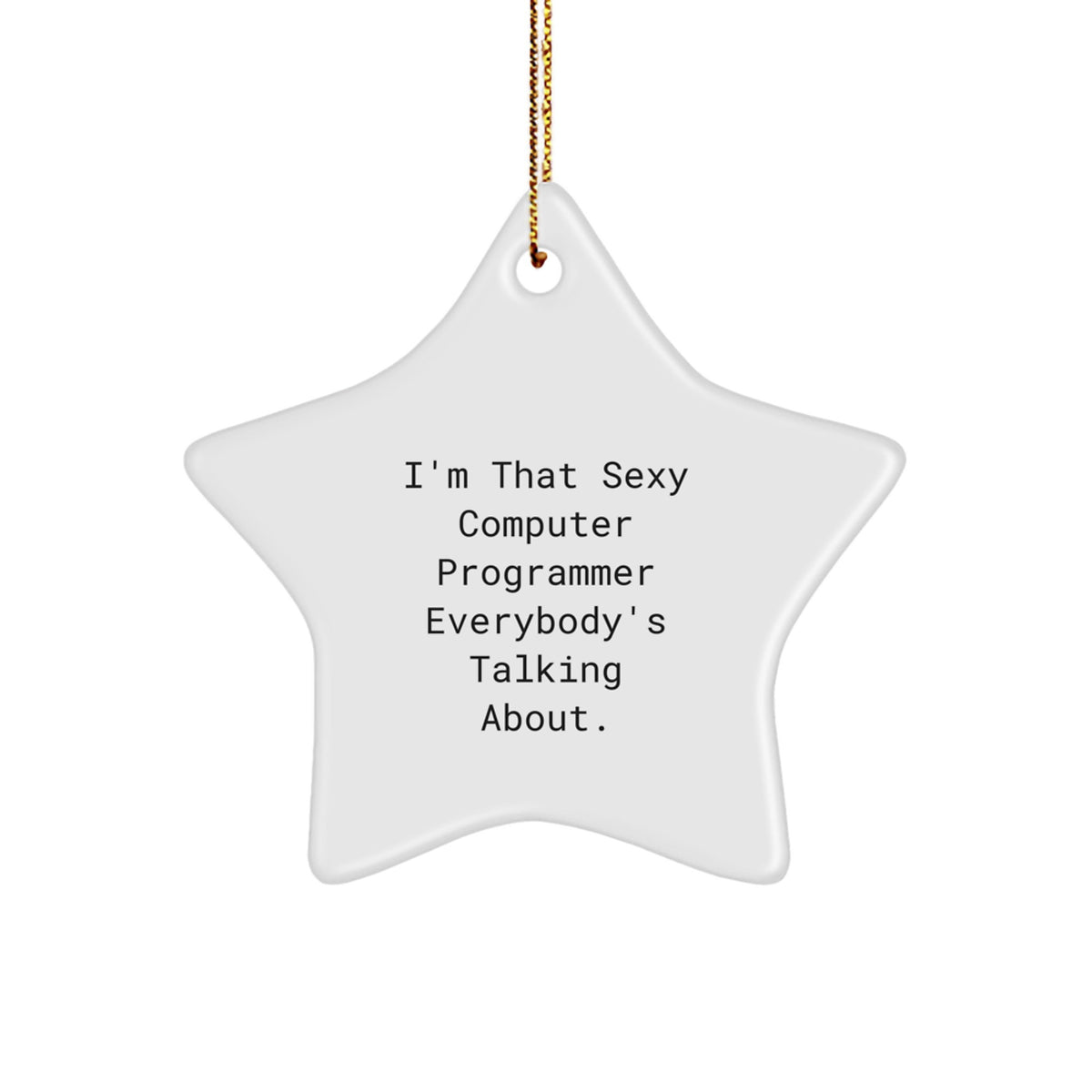 Witty Christmas Ornament Gift for Roommates - Sexy Computer Programmer - Image 1
