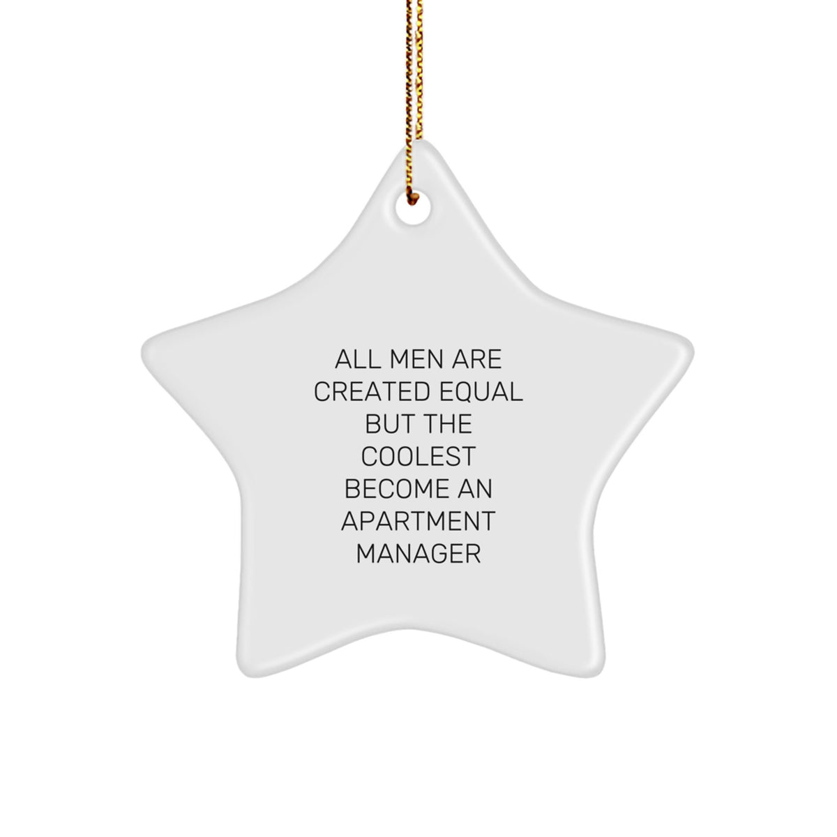 Funny Quote Apartment Manager Gifts Star Ornament, Gifts from Men, for Apartment Manager, Star Ornament Christmas Unique Presents - Image 1