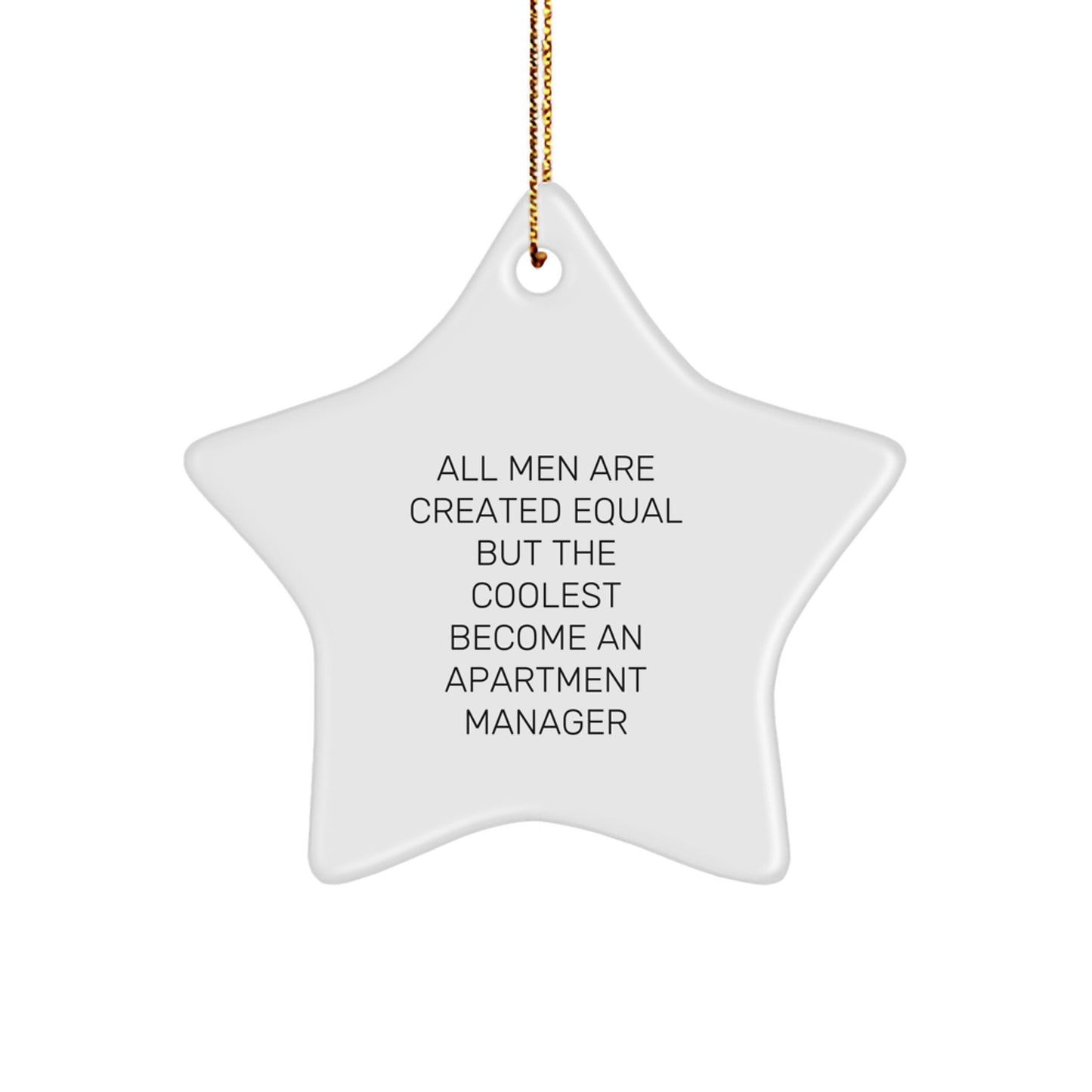 Funny Quote Apartment Manager Gifts Star Ornament, Gifts from Men, for Apartment Manager, Star Ornament Christmas Unique Presents - Image 1