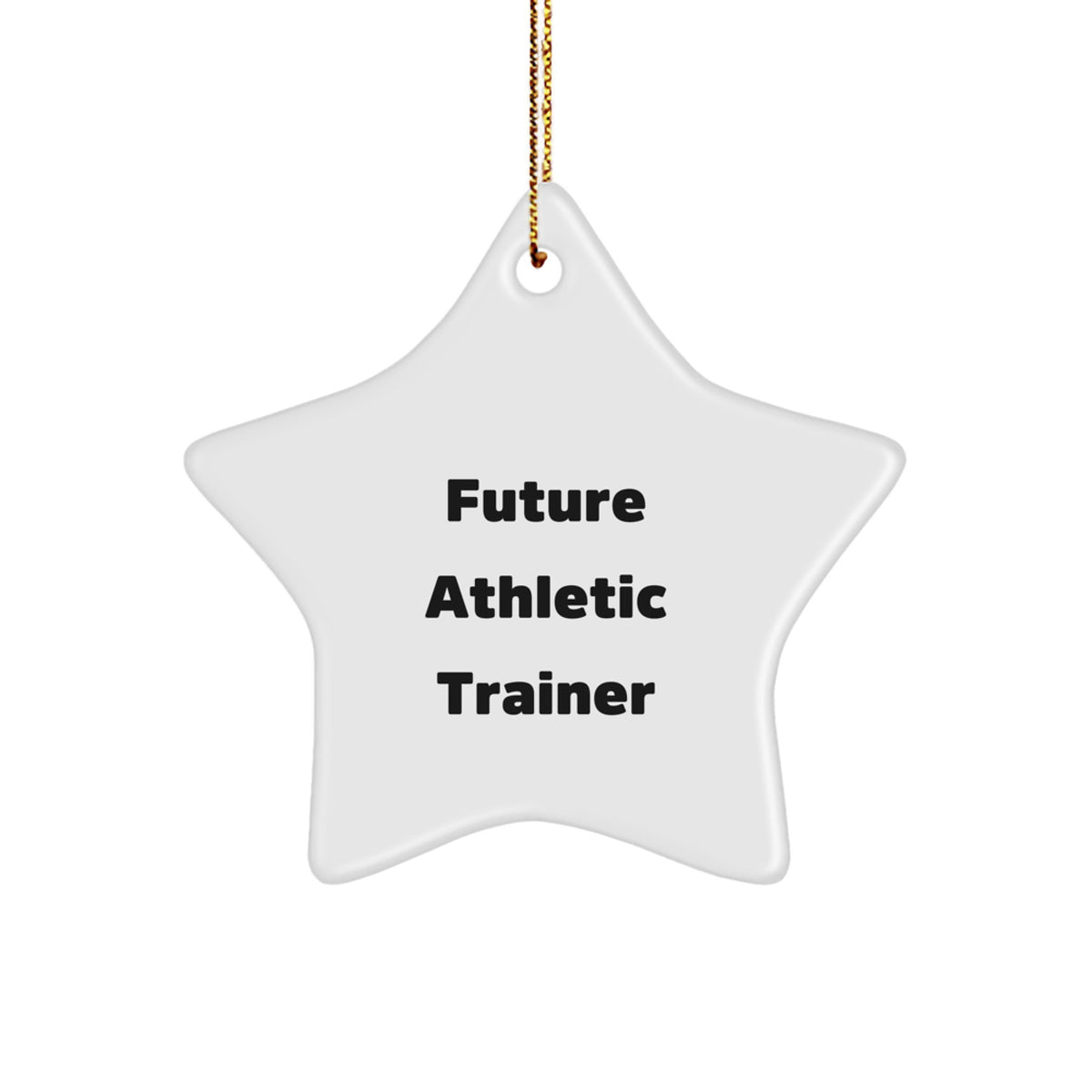 Funny Inspirational Gifts from Friends to Athletic Trainers, Future Star Ornament - Christmas Unique Gifts for Him - Image 1