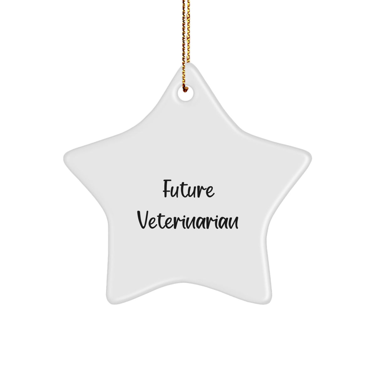 Funny Veterinarian Gifts from Men to Future Veterinarians, Star Ornament for Christmas, 'Future Veterinarian, Shining Bright' Quote - Image 1