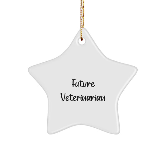 Funny Veterinarian Gifts from Men to Future Veterinarians, Star Ornament for Christmas, 'Future Veterinarian, Shining Bright' Quote - Image 1