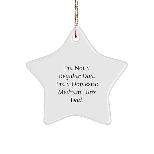 Funny Domestic Medium Hair Cat Gifts from Dad, Star Ornament for Christmas Unique Gifts, I'm Not A Regular Dad. I'm A Domestic Medium Hair Dad. Decorations for Home - Image 1