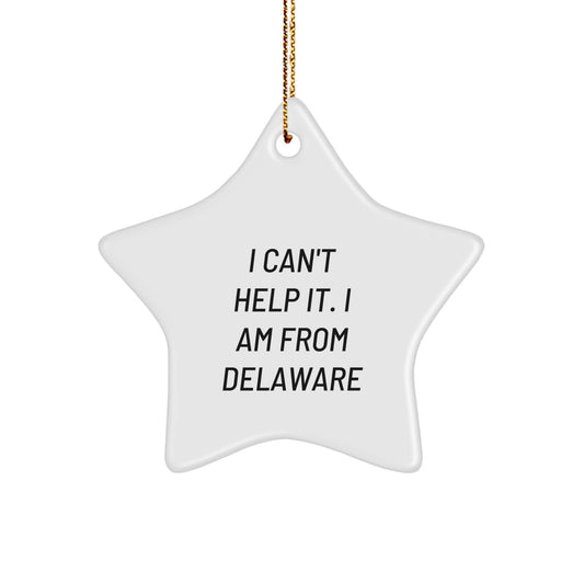 Delaware Proud Star Ornament, Funny Quote Gifts from Friends and Family to Delaware Residents, Christmas Unique Gifts - Image 1